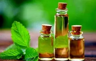 یک ساعته عرق نعناع رو توی خونه درست کن! خیلی ساده بدون وسیله خاص!