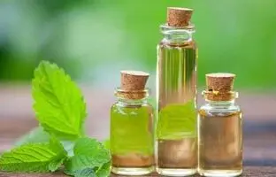 یک ساعته عرق نعناع رو توی خونه درست کن! خیلی ساده بدون وسیله خاص!