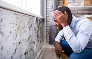 راحت ترین ترفندها برای از بین بردن رطوبت و نم خانه