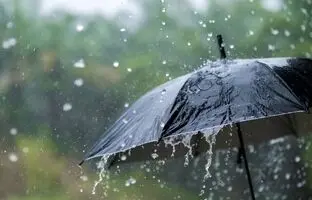 وضعیت آب و هوا امروز سه شنبه 22 اسفند 1402/ پیش بینی وضعیت هوا فردا چهارشنبه 23 اسفند