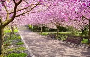 پرشکوفه‌ترین روستاهای اطراف تهران در فصل بهار که باید ببینیم