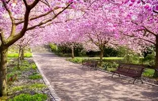 پرشکوفه‌ترین روستاهای اطراف تهران در فصل بهار که باید ببینیم