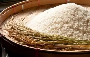 نگهداری برنج در آپارتمان با رازی که برنج فروش بهت نمیگه