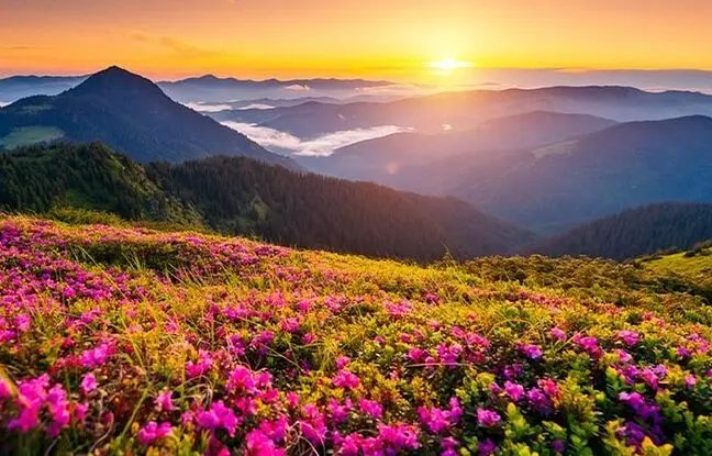 بهترین استان‌های ایران برای سفر در فصل بهار
