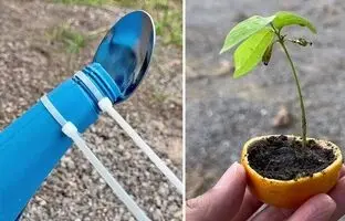 (ویدئو) 12 نکته و ترفند ساده و کاربردی در «باغبانی»