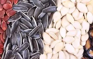 چه تخمه‌ای بخوریم بهتره؟
