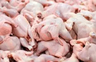 قیمت گوشت مرغ، امروز سه شنبه ۲۸ فروردین ۱۴۰۳