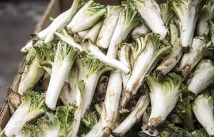 بهترین و ساده ترین روش پاک کردن کنگر کوهی