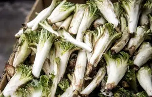بهترین و ساده ترین روش پاک کردن کنگر کوهی