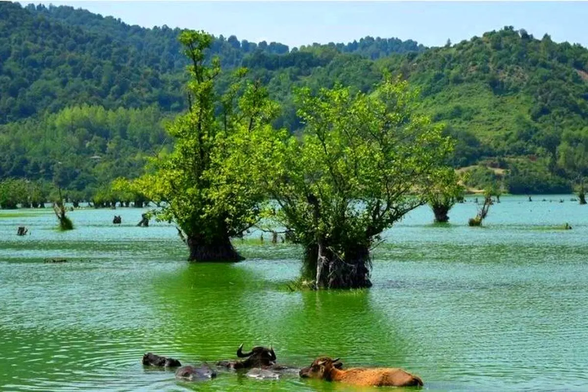 جذاب‌ترین جاهای دیدنی آستارا که باید در فصل بهار ببینید!