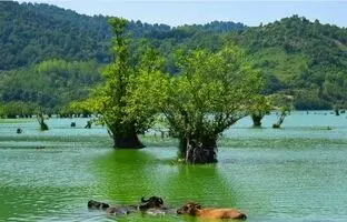 جذاب‌ترین جاهای دیدنی آستارا که باید در فصل بهار ببینید!