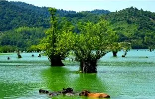 جذاب‌ترین جاهای دیدنی آستارا که باید در فصل بهار ببینید!