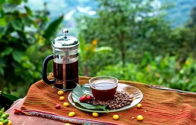 فرنچ پرسم رو چجوری بشورم؟ + آموزش کامل