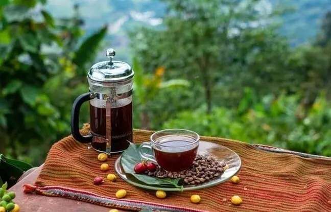 فرنچ پرسم رو چجوری بشورم؟ + آموزش کامل
