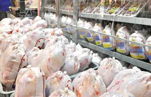 قیمت گوشت مرغ، امروز شنبه ۱ اردیبهشت ۱۴۰۳