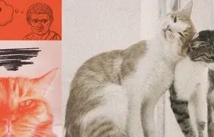 فلسفه روزمره: آیا اشکالی ندارد با کسی که دوستم دوست دارد، قرار ملاقات بگذارم؟