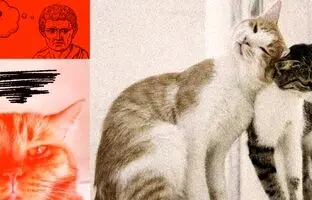 فلسفه روزمره: آیا اشکالی ندارد با کسی که دوستم دوست دارد، قرار ملاقات بگذارم؟