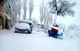 (ویدئو) بارش برف بهاری در الیگودرز