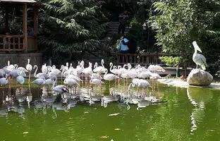 خاص‌ترین پارک‌های تهران که شما را به دنیای تخیلات می‌برد