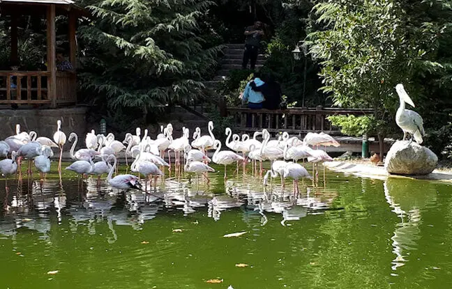 خاص‌ترین پارک‌های تهران که شما را به دنیای تخیلات می‌برد