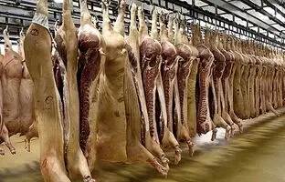 قیمت گوشت قرمز، امروز دوشنبه ۱۷ اردیبهشت ۱۴۰۳