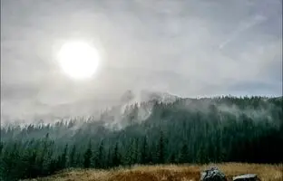 (تصویر) معمای کشف جسد دو پسربچه از دو نژاد مختلف در یک گور مشترک 1600ساله