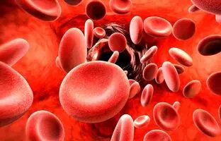 چرا اکثر افراد کم خونی دارند و آیا کشنده است؟ درمان های طبیعی و فوری برای انوع کم خونی