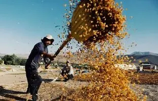 شهر بدون کوچه ایران را بشناسید؛ در خاورمیانه نظیر ندارد