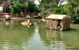خوش آب و هواترین پارک‌های یزد در فصل بهار