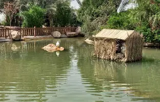 خوش آب و هواترین پارک‌های یزد در فصل بهار