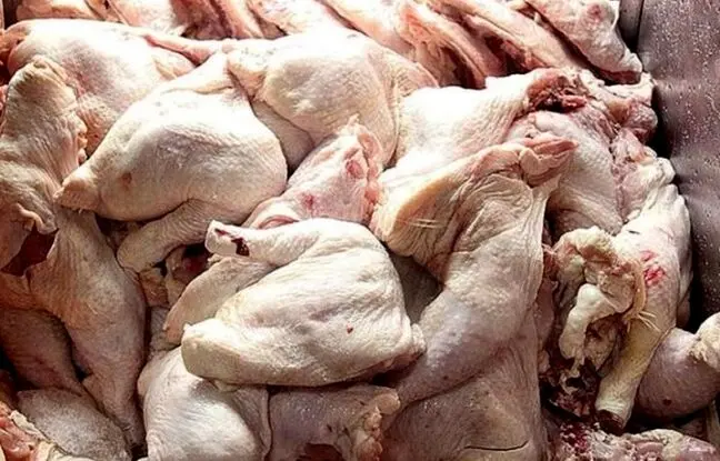 قیمت گوشت مرغ، امروز چهارشنبه ۱۹ اردیبهشت ۱۴۰۳