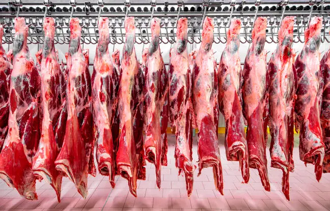 قیمت گوشت قرمز، امروز چهارشنبه ۱۹ اردیبهشت ۱۴۰۳