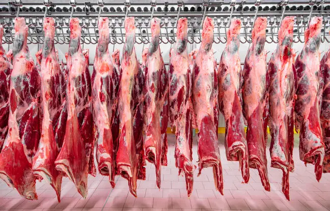 قیمت گوشت قرمز، امروز چهارشنبه ۱۹ اردیبهشت ۱۴۰۳