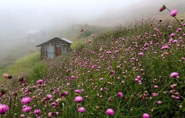 ییلاق سلانسر کجاست ؟ راهنمای کامل سفر + عکس و مسیر دسترسی