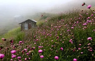 ییلاق سلانسر کجاست ؟ راهنمای کامل سفر + عکس و مسیر دسترسی