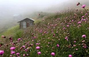 ییلاق سلانسر کجاست ؟ راهنمای کامل سفر + عکس و مسیر دسترسی