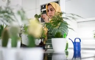 ۱۵ گیاه آپارتمانی که در آشپزخانه خوب رشد می‌کنند به همراه نکات نگهداری