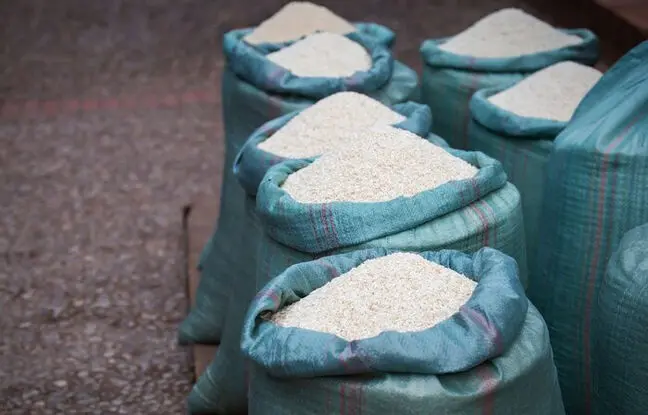 شمالی ها برنج خام رو چطور نگهداری میکنن که خراب نشه؟
