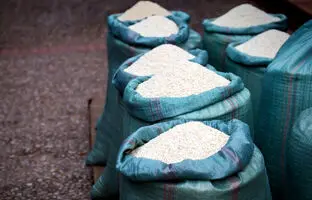 شمالی ها برنج خام رو چطور نگهداری میکنن که خراب نشه؟