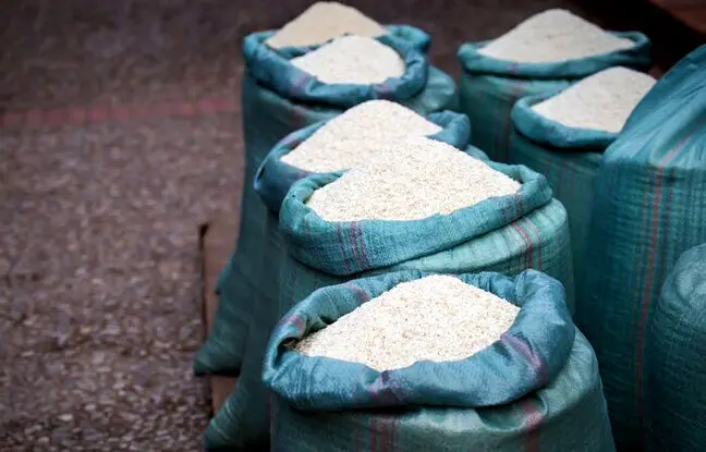 شمالی ها برنج خام رو چطور نگهداری میکنن که خراب نشه؟