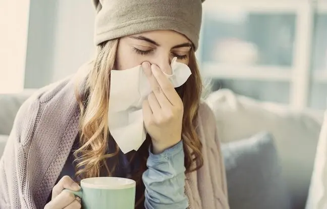 بهترین گیاهان آپارتمانی ضد آلرژی را بشناسید