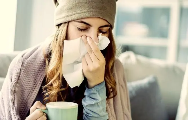 بهترین گیاهان آپارتمانی ضد آلرژی را بشناسید
