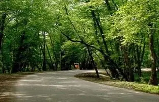 بهشتی‌ترین پارک‌های جنگلی تهران در فصل اردیبهشت؛ کجا بریم!؟
