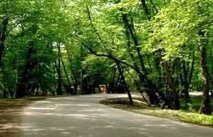 بهشتی‌ترین پارک‌های جنگلی تهران در فصل اردیبهشت؛ کجا بریم!؟