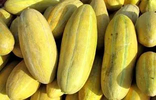 (ویدئو) یک ترفند ساده و سریع: چطور خربزه شیرین و خوشمزه را تشخیص دهیم؟