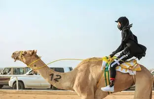 (ویدئو) مسابقه شترسواری زنان در عربستان!