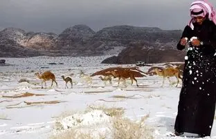 (ویدئو) بارش برف در طائف عربستان در نهمین روز از اردیبهشت ۱۴۰۳