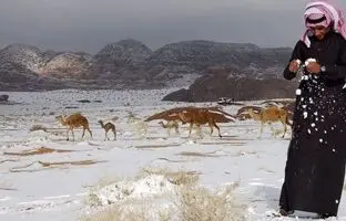 (ویدئو) بارش برف در طائف عربستان در نهمین روز از اردیبهشت ۱۴۰۳
