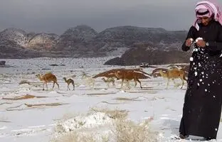 (ویدئو) بارش برف در طائف عربستان در نهمین روز از اردیبهشت ۱۴۰۳