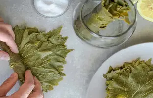 روش‌های نگهداری برگ مو برای مدت طولانی!